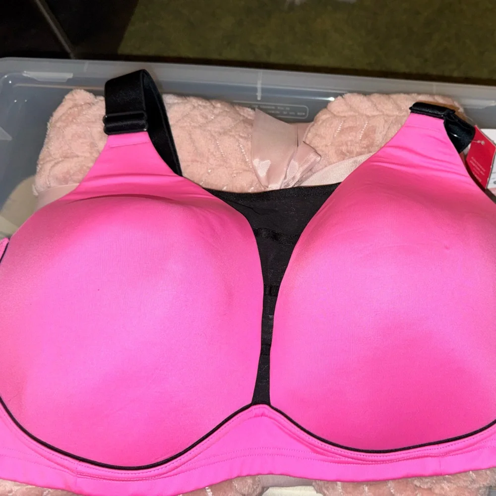 Lane Bryant Livi Pink Women's Sport Bra 44DDD